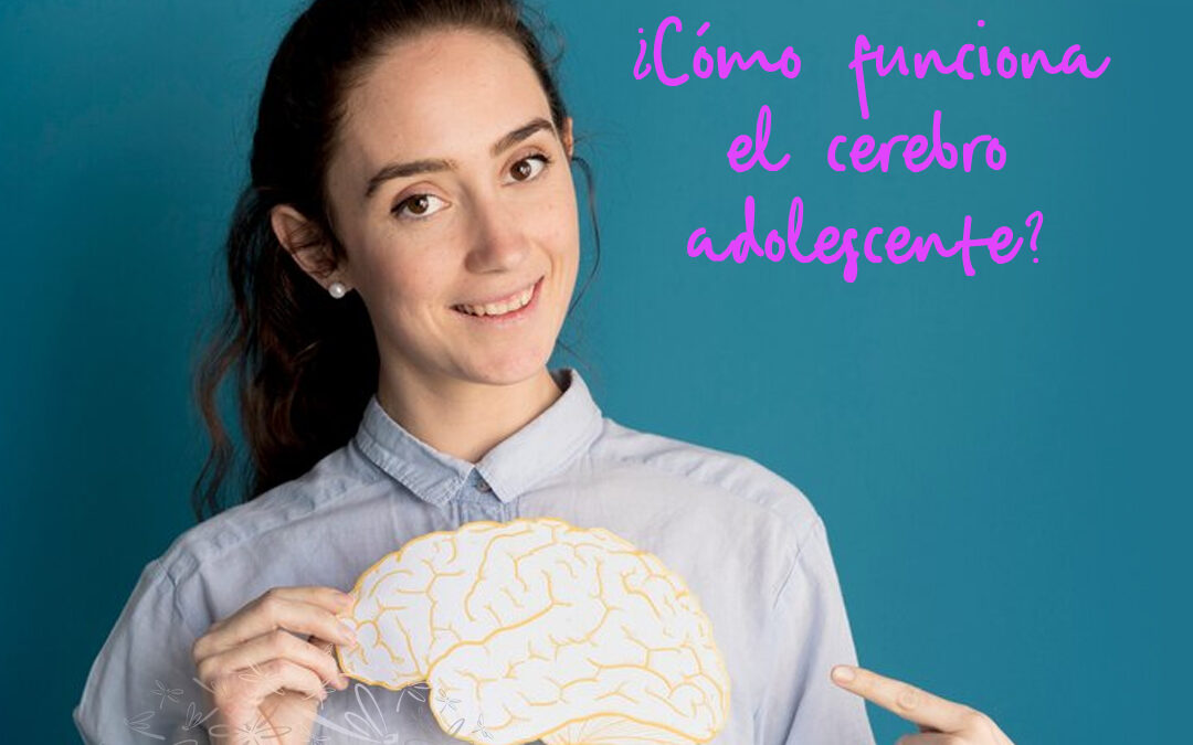 Día Mundial del Bienestar Mental para Adolescentes, ¿Cómo funciona el cerebro adolescente?